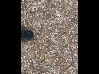 Dirty sneakers stepping on pine cones in the park